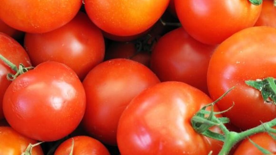 Razlike između pikiranja i pinciranja