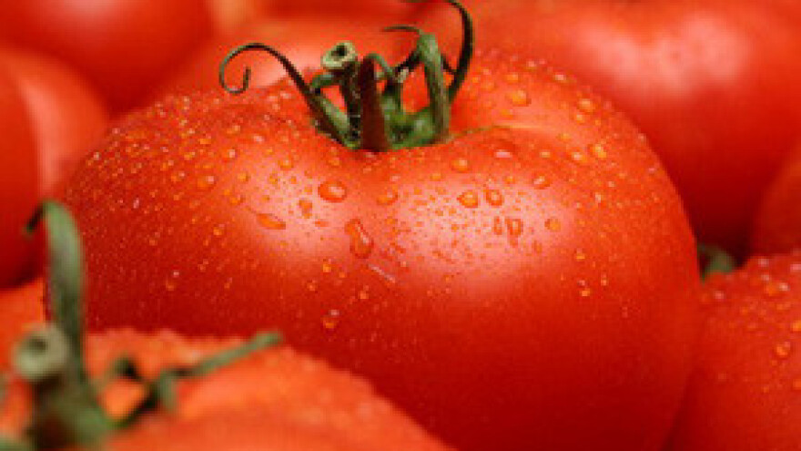 Od rajskoga  ploda božanstveni sok