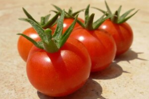 Posljedica GMO-a: U Slavoniji se već uhvatio superkorov