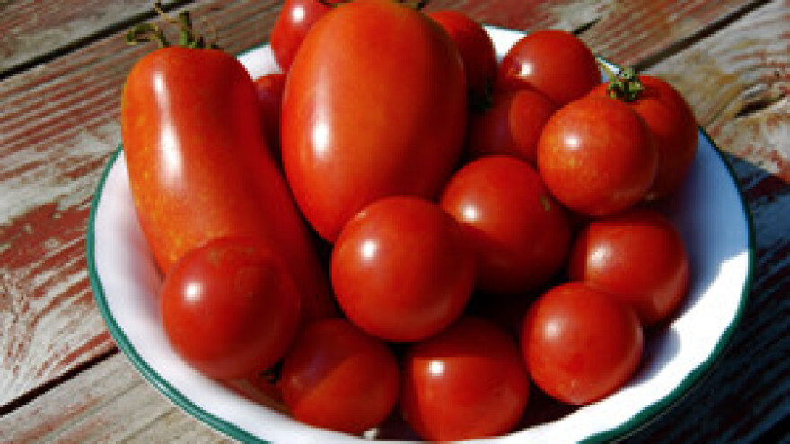 Sajam ekologije i zdrave prehrane