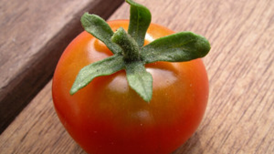 Novi javni natječaj Ministarstva poljoprivrede