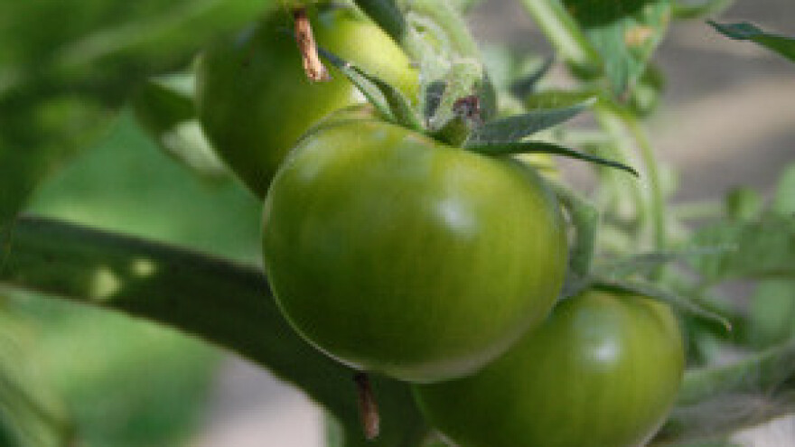 Biovega - zagovornik zdravog života