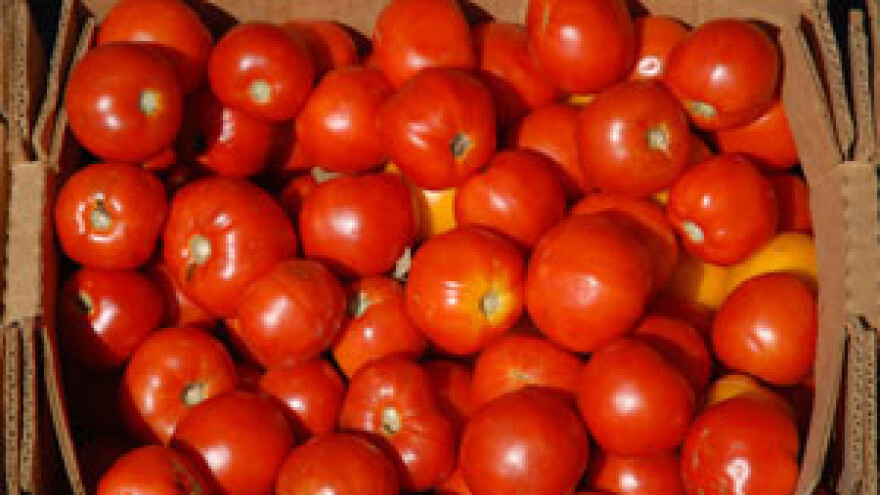 Pojačan nadzor povrća iz Njemačke i Španjolske