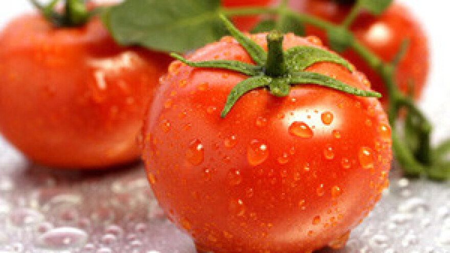 Novi gastronomski hit: Vino od rajčica