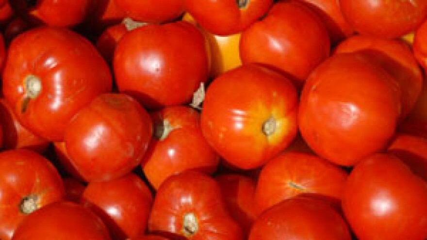 Proizvodnja povrća ugrožena dugotrajnim nedostatkom vode