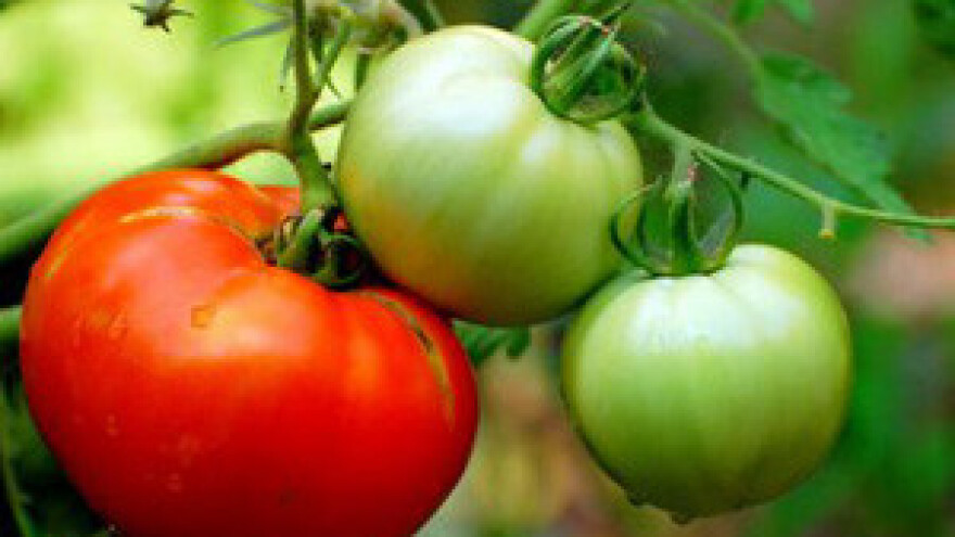 Prekomjerna potrošnja gnojiva stajat će nas poljoprivrednih potpora