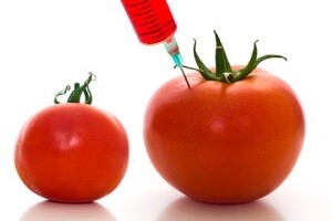 U Saboru izmjene zakona o GMO-u