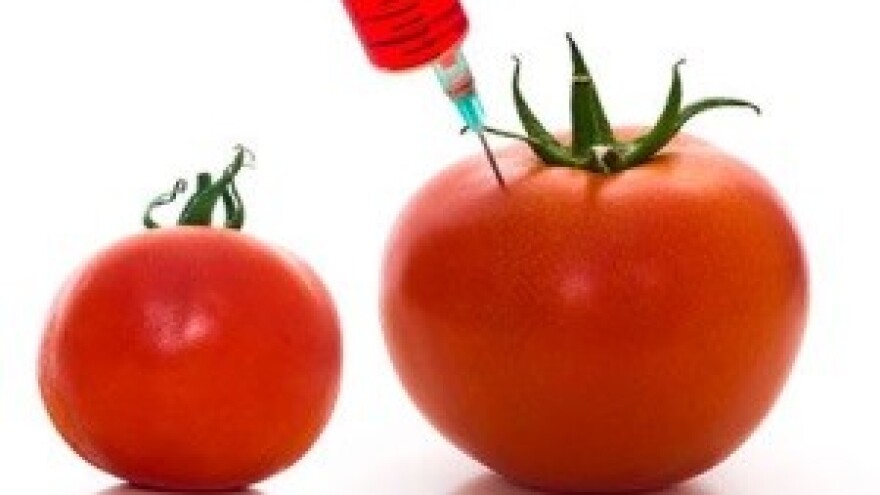 U Saboru izmjene zakona o GMO-u