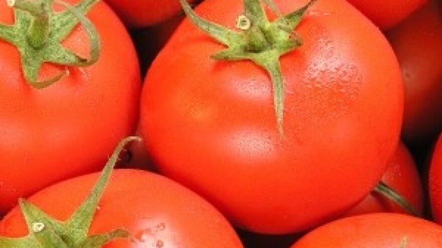 Hoće li Hrvatska postati odlagalište za nekvalitetnu robu?