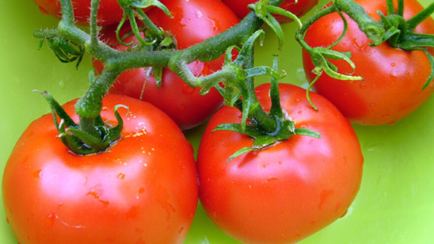 Dan rajčice u Umagu