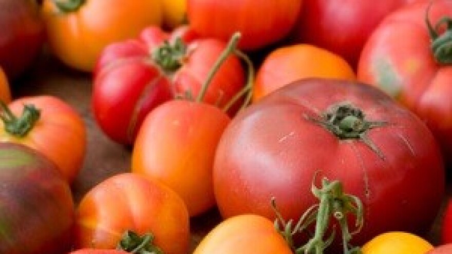 Ante Tomić: Seljačka buna s predvidljivim ishodom