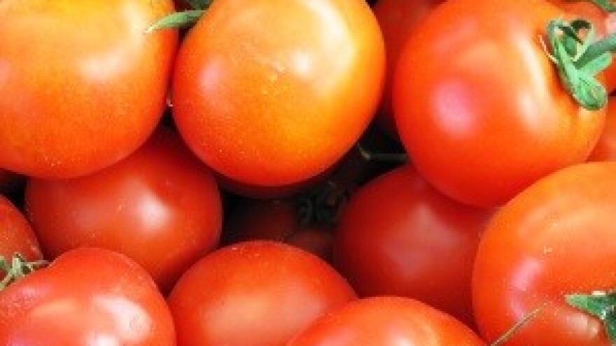 Fiskalizacija tržnica