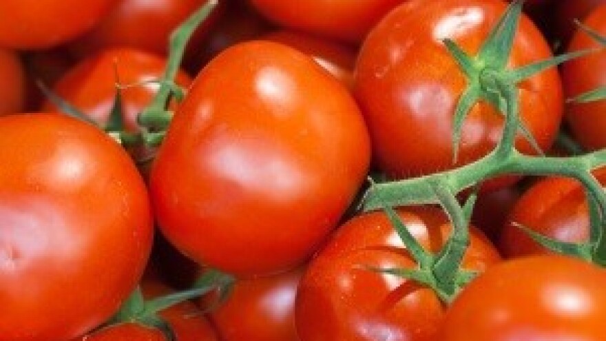 Fiskalizacija na osječkoj tržnici