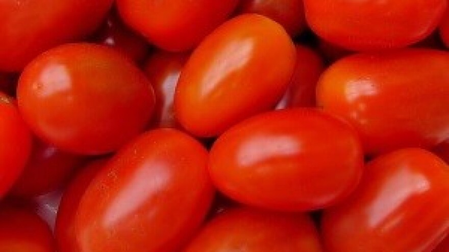 Zaplijenjena hrana završila u pučkoj kuhinji