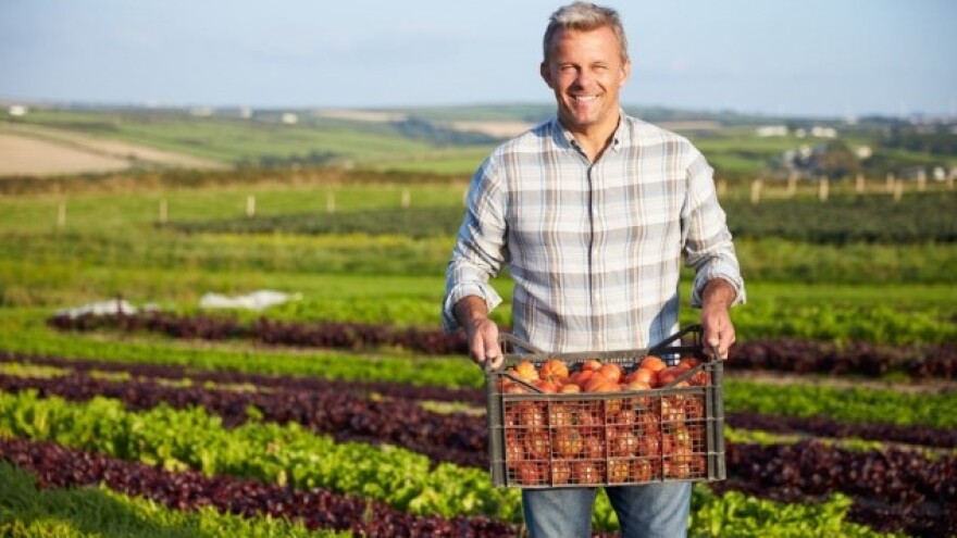 Kako protiv bolesti plodovitog povrća?