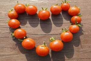 Suprotstavljanje GMO-u