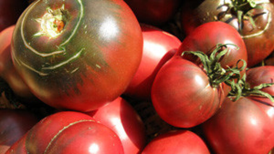 Mraz uništio voće, a sada suša prijeti povrtnjacima