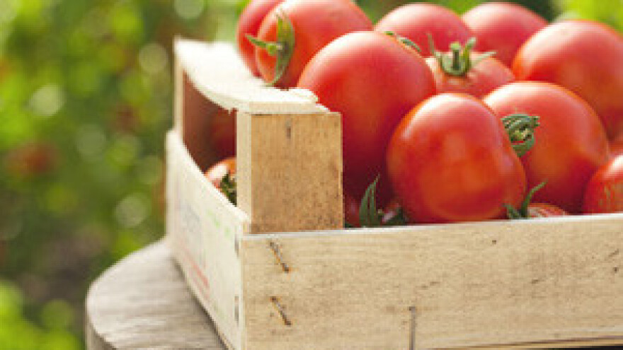 Kalkulacije povrtnih kultura 2012