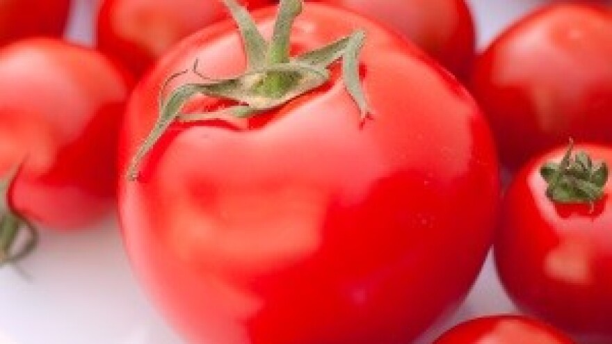 Osnovana Udruga povrtlara Slatina - Orahovica