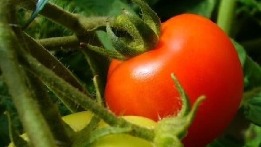 Dio domaćih prehrambenih tvrtki moglo bi bankrotirati