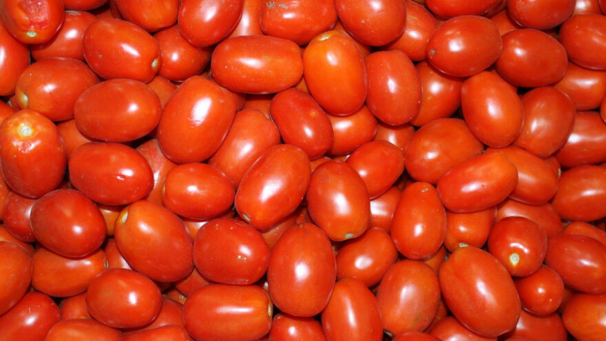 Španjolci neće izvoziti, zasićenje tržišta rajčice
