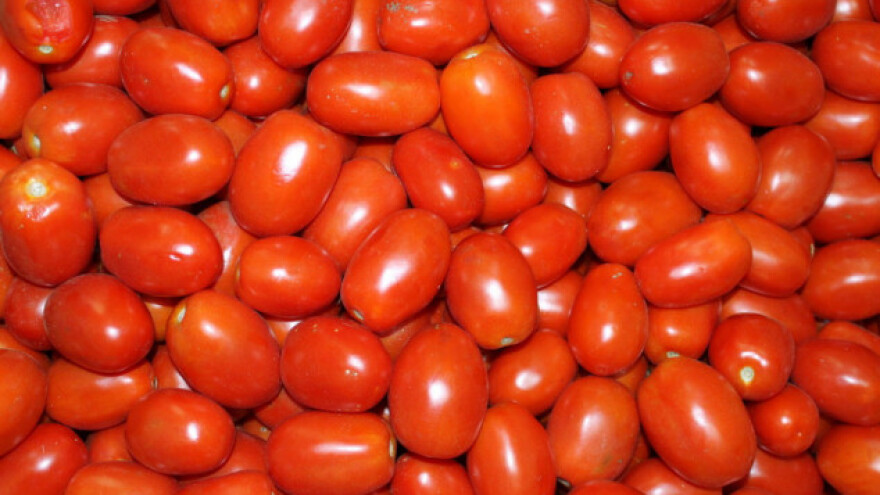 Španjolci neće izvoziti, zasićenje tržišta paradajza