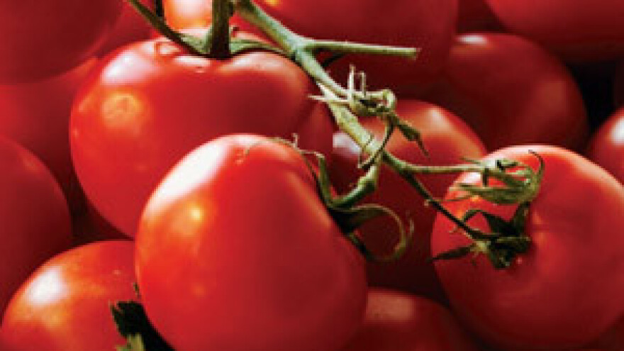 Pametna proizvodnja rajčica