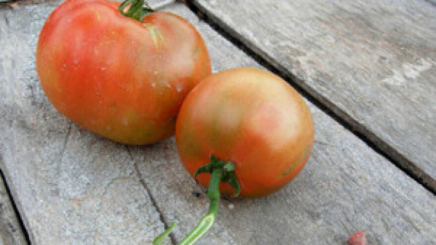 Hrvatska se treba okrenuti biodinamičkoj poljoprivredi