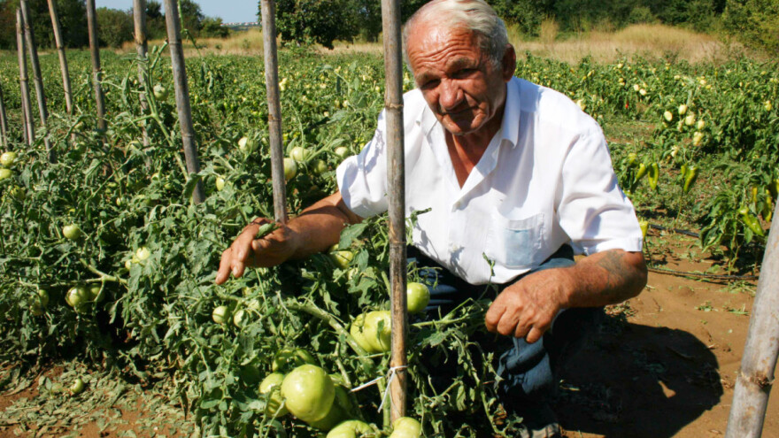 Tuča u oba Islama: Kako ostvariti potporu za osiguranje, iznosa do 75.000 eura?