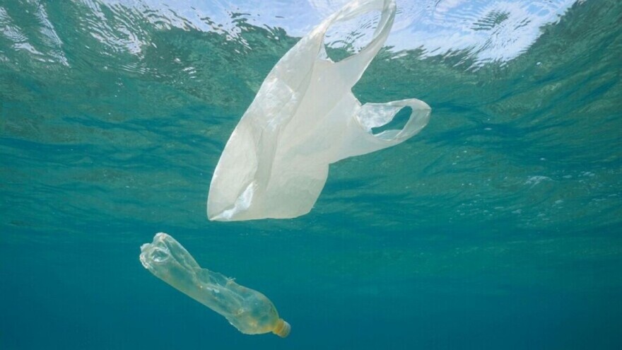 Plastika i u novootkrivenoj vrsti rakova!