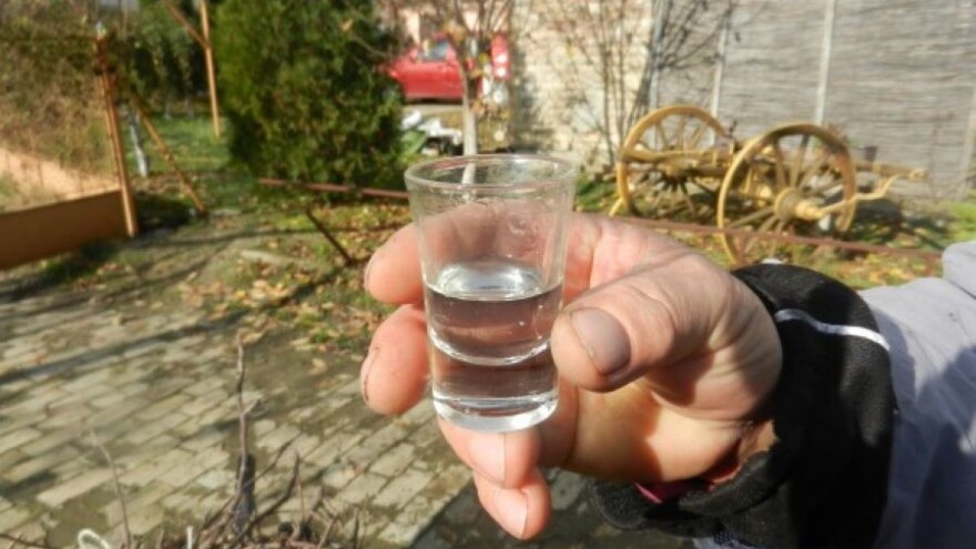 Požegača - nezamenljiva sorta za dobru šljivovicu