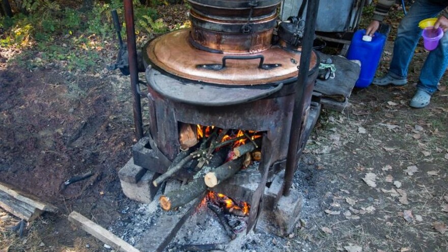 Šampionska rakija proizvod ljubavi i porodičnog truda