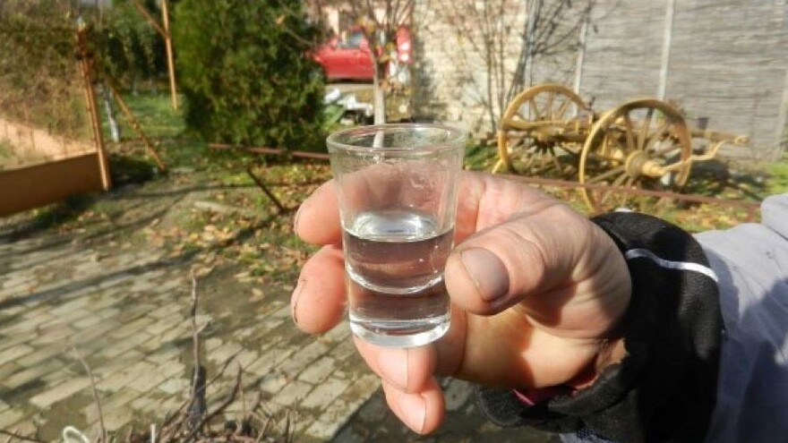 Požegača - nezamjenljiva sorta za dobru šljivovicu