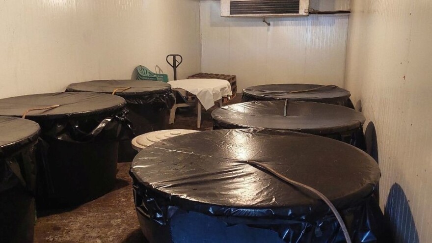 Od iduće godine prva organska rakija od krušaka ide za Njemačku