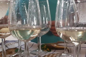 Koje kriterijume mora da ispuni uzorak vina ili rakije da bi osvojio pobednički pehar?