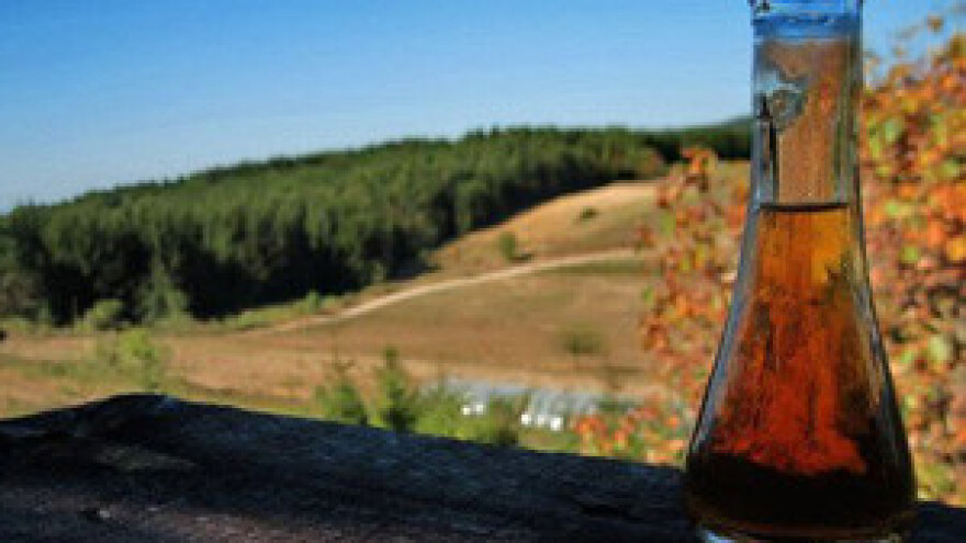 9. Poljoprivredni božićni sajam u Pušći