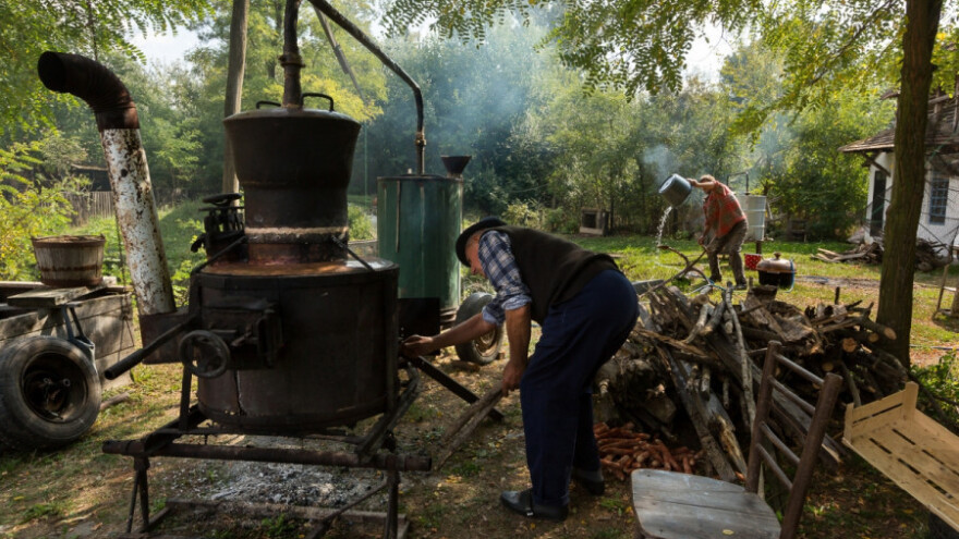 &quot;Parastos dudu&quot; u junu