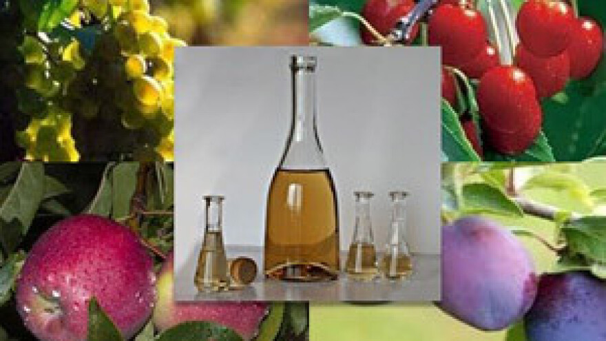 8. Edukacijsko natjecanje u kvaliteti voćnih rakija u Osijeku