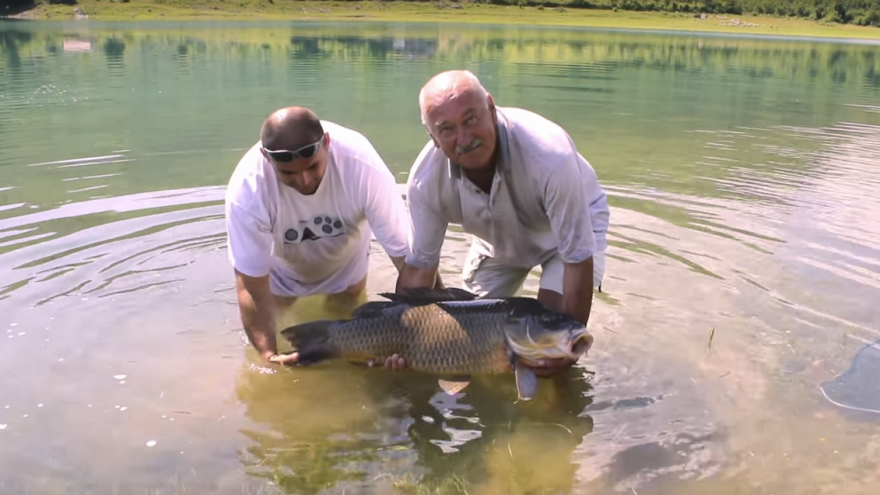Šaran kapitalac od 28,4 kg najteža riba uhvaćena na ramskim vodama