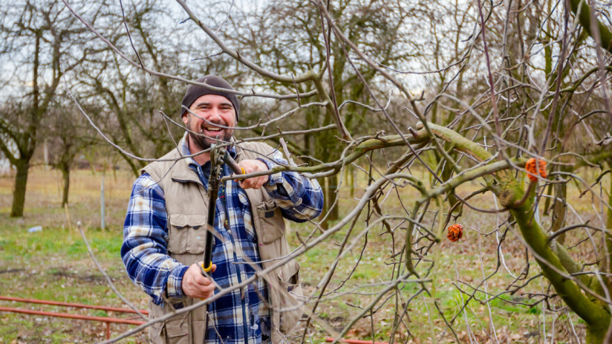 Kako spriječiti posljedice preranog kretanja vegetacije voćaka?