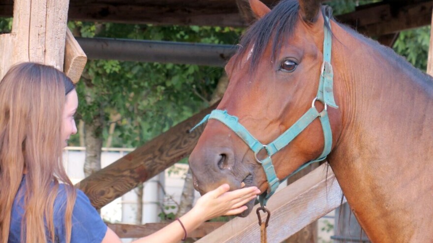 Mi ne šapućemo konjima, mi ih slušamo