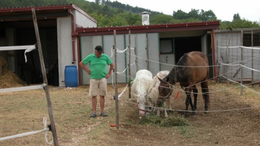 Hoće li Alfa Polaris preplivati Brački kanal?