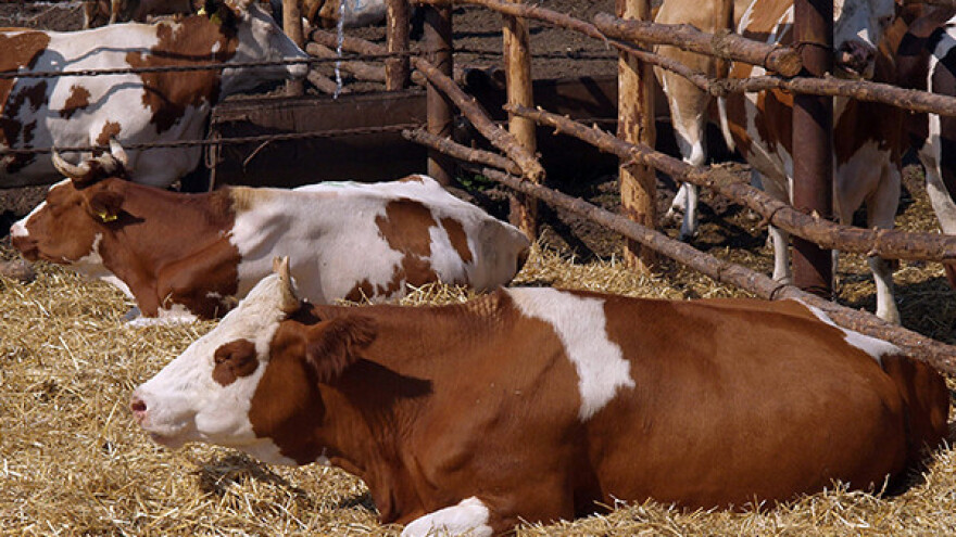 Na prodaju ranč 20 puta veći od Pariza