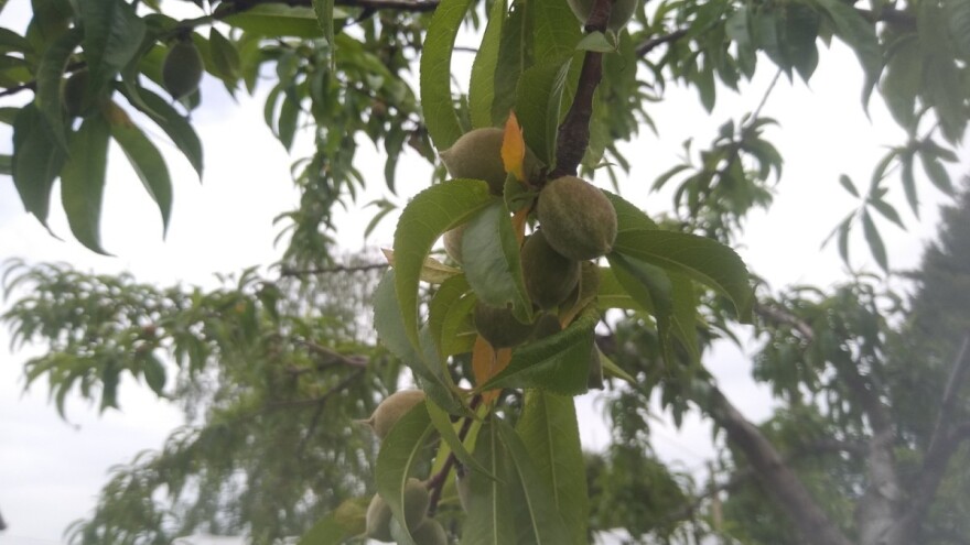 Stižu nam pljuskovi i grmljavina, razvedravanje tek od četvrtka