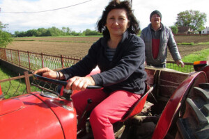Ranka radi sa traktorom, suprug Veso joj pomaže