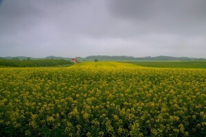 Smjena sunčanih i kišnih perioda čeka nas ove sedmice
