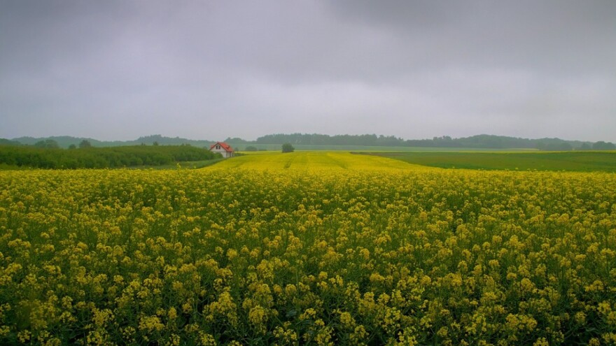 Smjena sunčanih i kišnih perioda čeka nas ove sedmice