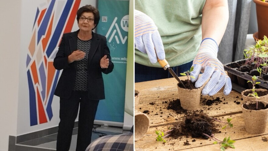 Kako spriječiti bolesti u organskoj proizvodnji rasada i povrća?