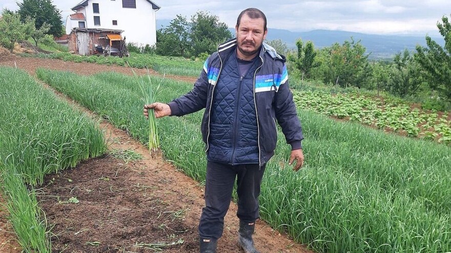 Porodica Nebojše Rusimovića proizvodi rasad praziluka punih 70 godina