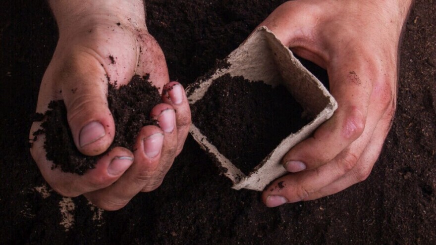 Kakvu zemlju za sjetvu izabrati, a da osiguramo dobar rast budućeg rasada?